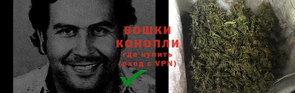 шишки Иннополис