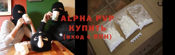 шишки Иннополис