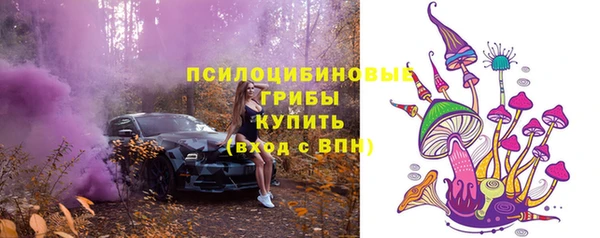 шишки Иннополис