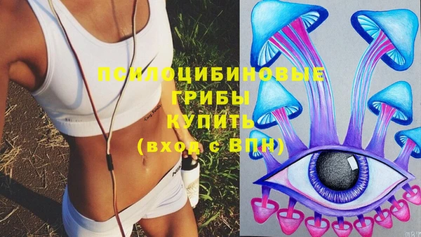 шишки Иннополис